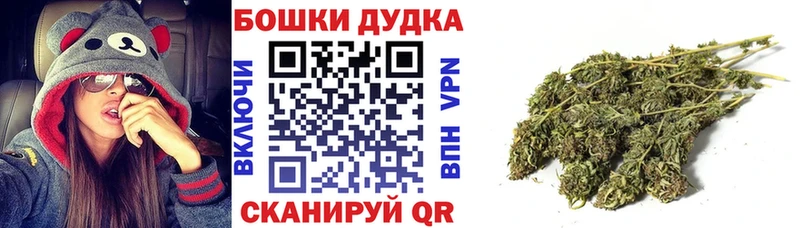 Виды наркоты Алапаевск Бутират  A-PVP  ГАШИШ  Псилоцибиновые грибы  Меф мяу мяу  Cocaine 