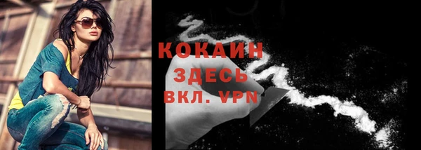 тгк Абаза